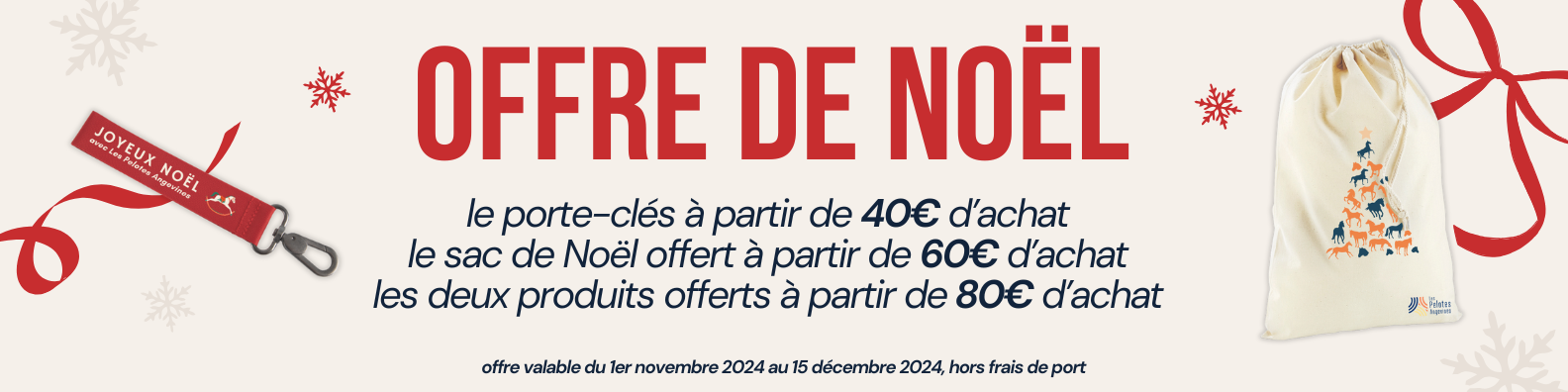 Bannière offre promotionnel